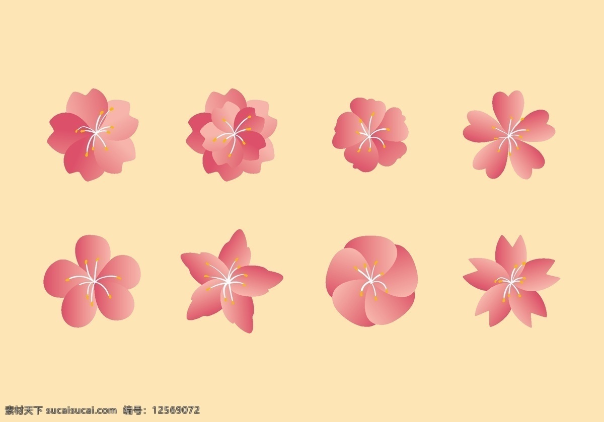粉色 绚丽 立春 桃花 花朵 春花 春天 花 花瓣 花卉 花蕊 精美