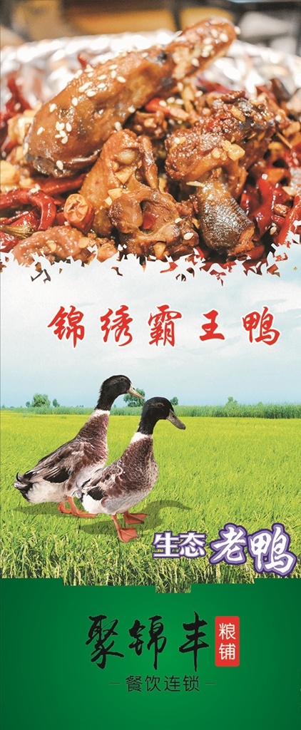 生态鸭 霸王鸭 鸭 鸭子展架 美食海报 美食展架 美食易拉宝 生态老鸭 土鸭 鸭子海报 稻田 稻田鸭