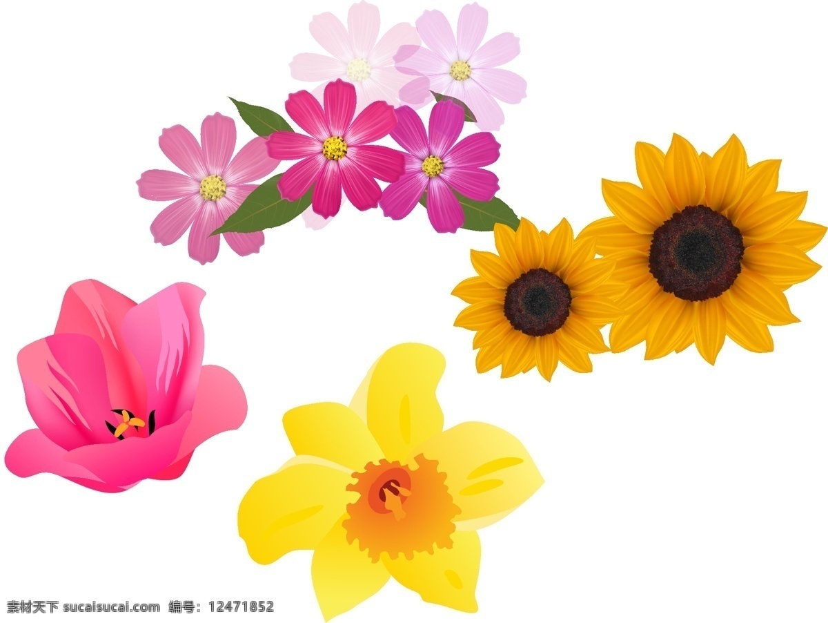 花 花卉 手绘花朵素材 矢量花朵 矢量素材 各种花朵 花藤 盛开 绽放 绿叶 叶子 花朵素材 装饰花朵 手绘花朵 矢量 花草 鲜花 花朵 梦幻花朵 唯美 鲜花素材 矢量花朵素材 矢量鲜花花朵 矢量鲜花素材 春季花朵素材 春季素材 春天素材 春天 春季 植物 黄色花朵 红色花朵 向日葵 太阳花