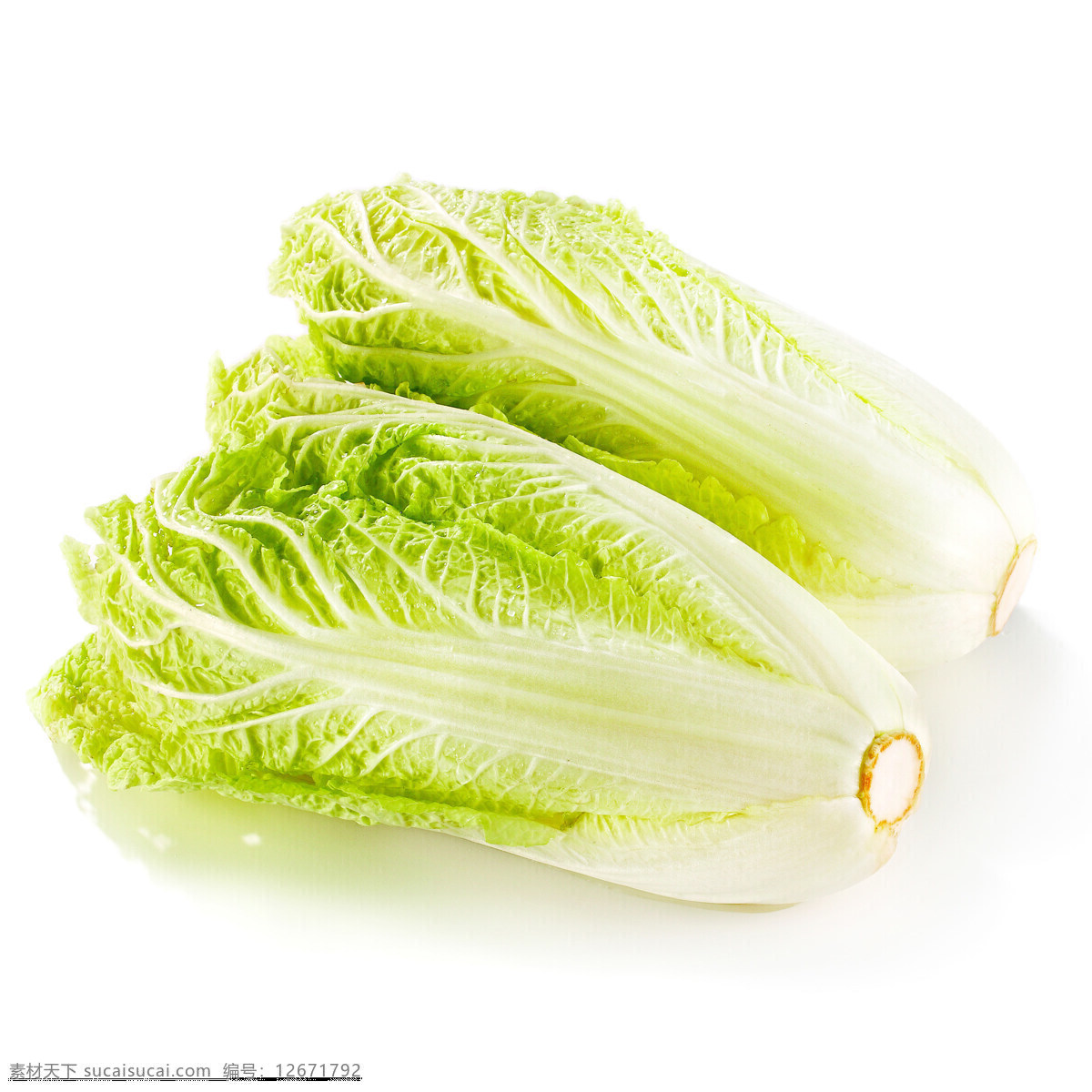 蔬菜 娃娃菜 娃娃菜合集 营养 新鲜娃娃菜 白色背景 静物摄影 蔬菜摄影 中国蔬菜 绿色 食物材料 高清图片 促销蔬菜 营养蔬菜 菜 生物世界