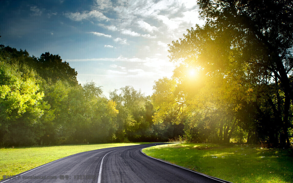 阳光 下 公路 马路 道路 弯道 高清 树丛 高清图片 背景素材