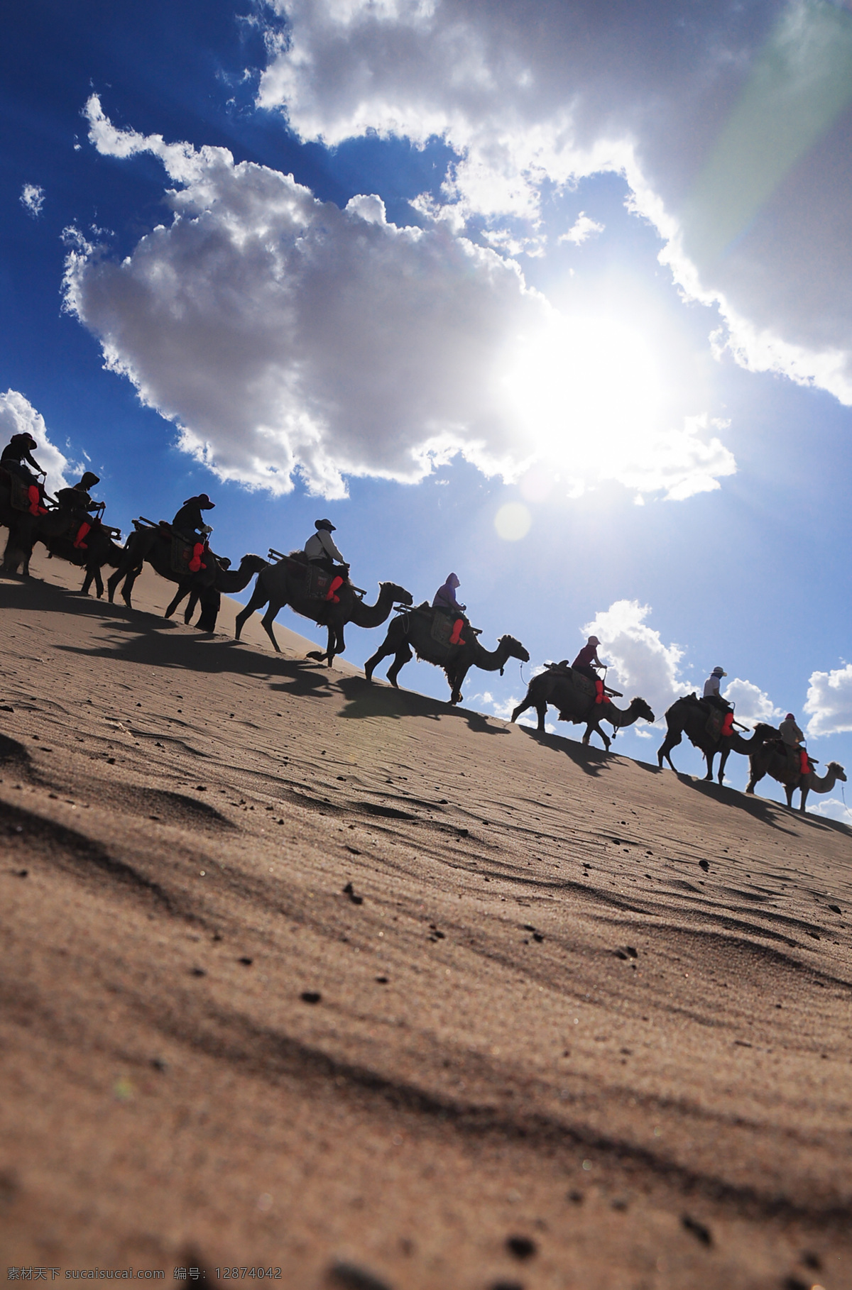 沙漠 里 行进 骆驼 沙漠里骆驼队 内蒙古 鄂尔多斯 达旗 达拉特旗 响沙湾 旅游 景区 金色的沙漠 蓝天 白云 乌云 沙丘 沙山 沙子 沙坡 沙滩 自然 沙纹 波纹 驼队 自然景观 自然风景