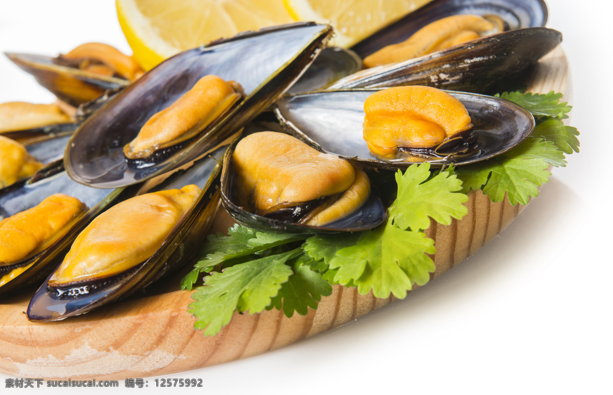 菜板 上 蛤蜊 菜板上的蛤蜊 美味 意面 食物 美食 食材 食材原料 餐饮美食 外国美食