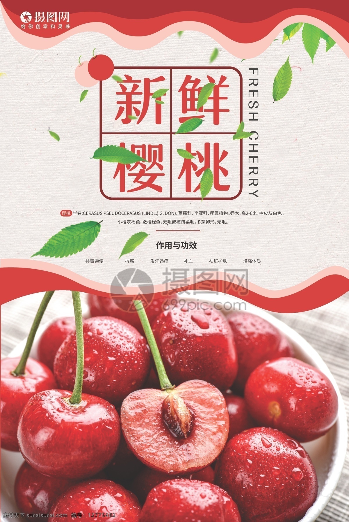 新鲜 红色 樱桃 海报 水果 樱桃红 水珠 营养 健康 维生素 车厘子 摆盘 白瓷盘 水果促销 促销海报