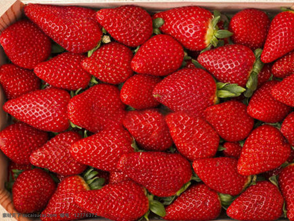 草莓图片 草莓 草 植物 吃的 生物世界 水果