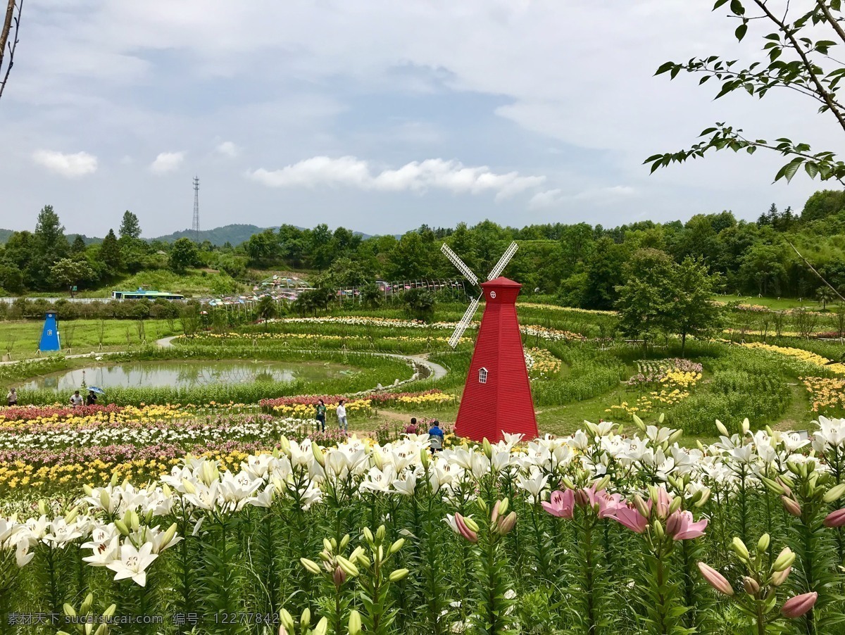 风车 西递 石林 百合 美景 花园 绿色 红色 蓝天 白云 水池 旅游摄影 自然风景