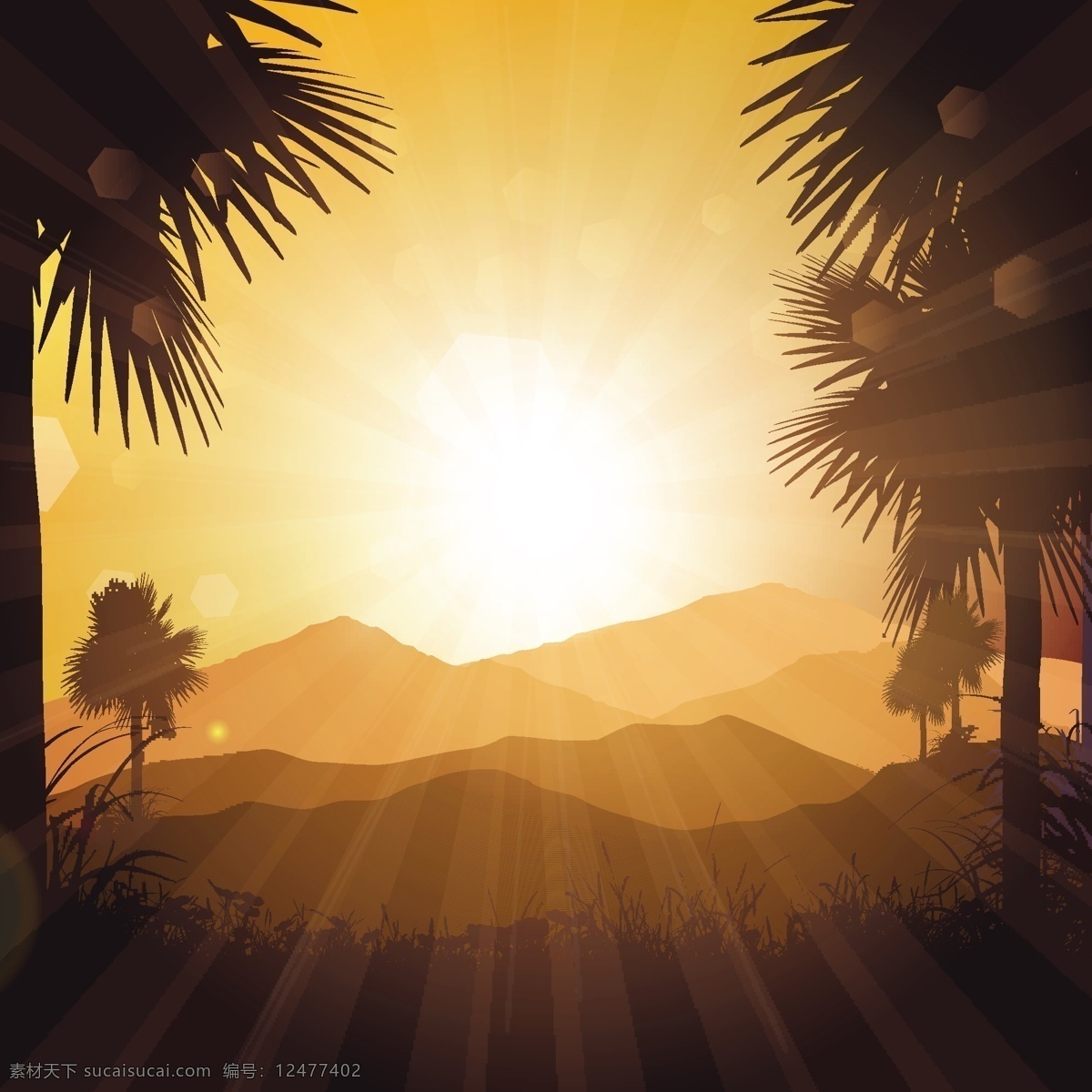 热带 椰树 剪影 夕阳 风景 背景 热带椰树剪影 夕阳风景