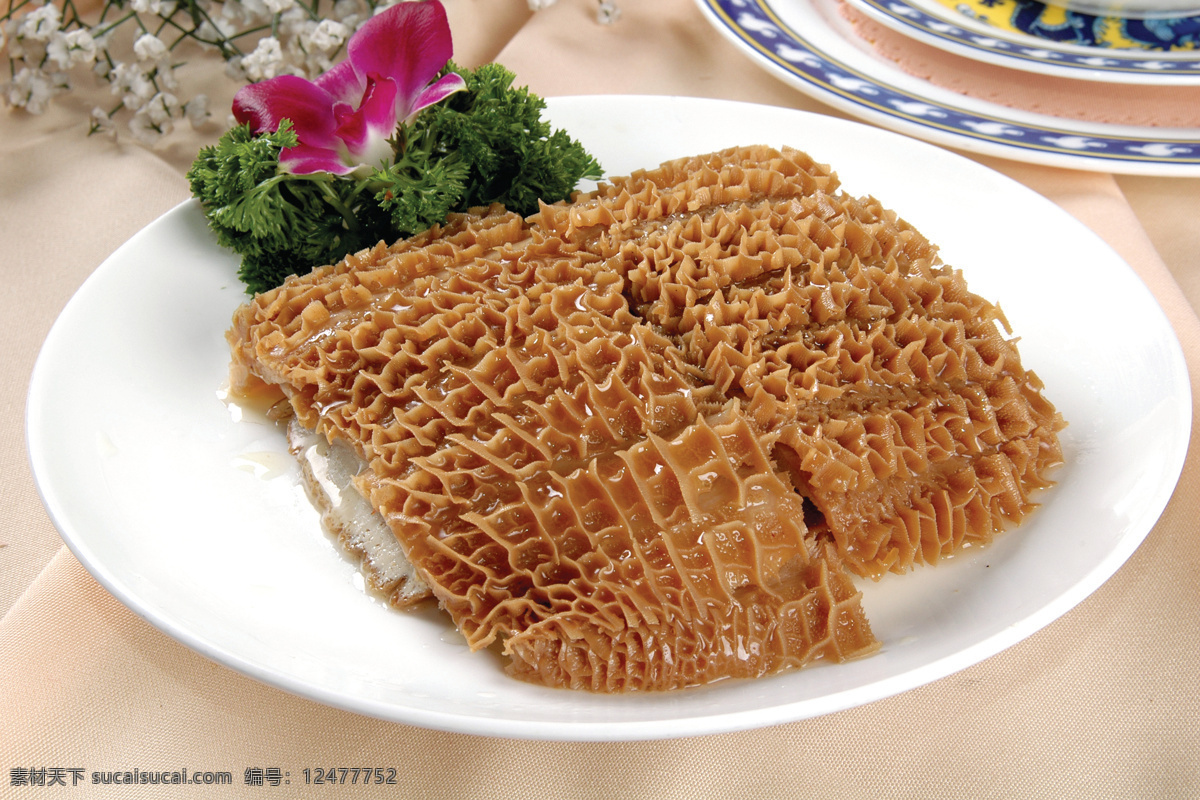 卤水金钱肚 美食 传统美食 餐饮美食 高清菜谱用图