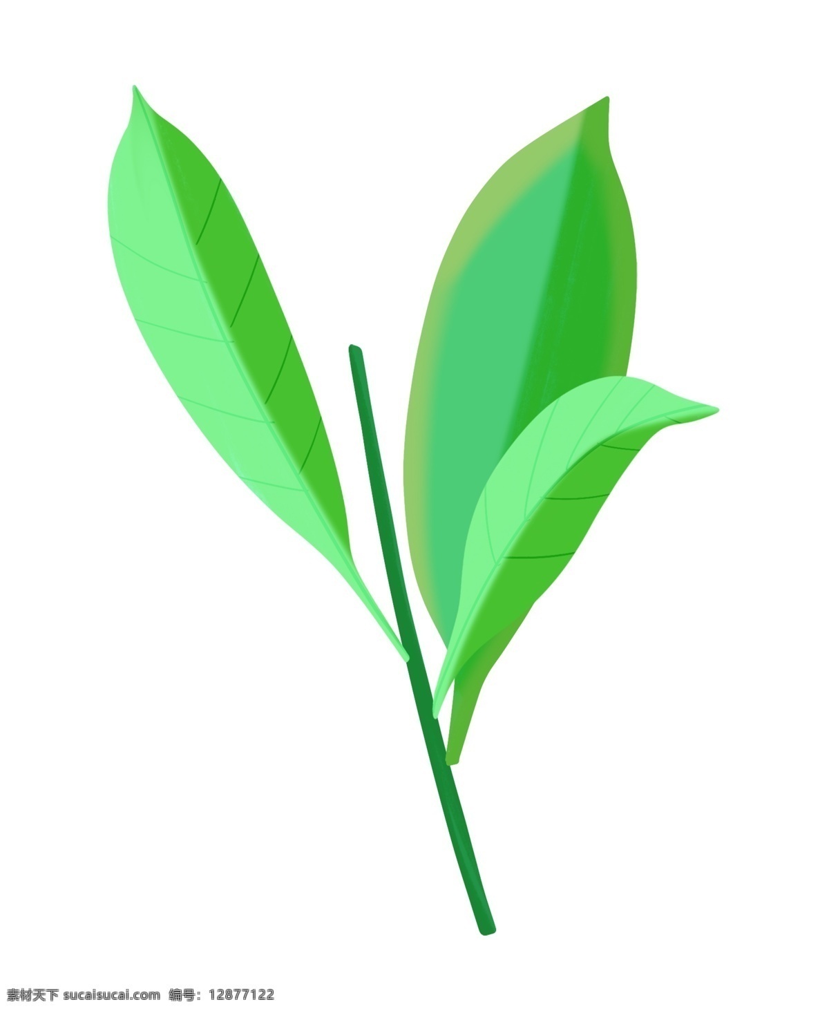 精美 绿色 树叶 插画 绿叶 卡通植物插画 绿色的叶子 精美的树叶 绿色的树叶 叶子 创意植物插画
