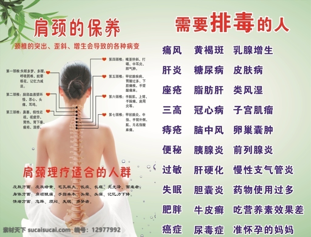 肩颈的保养 推拿 理疗背景 需要排毒的人 绿地 dm宣传单