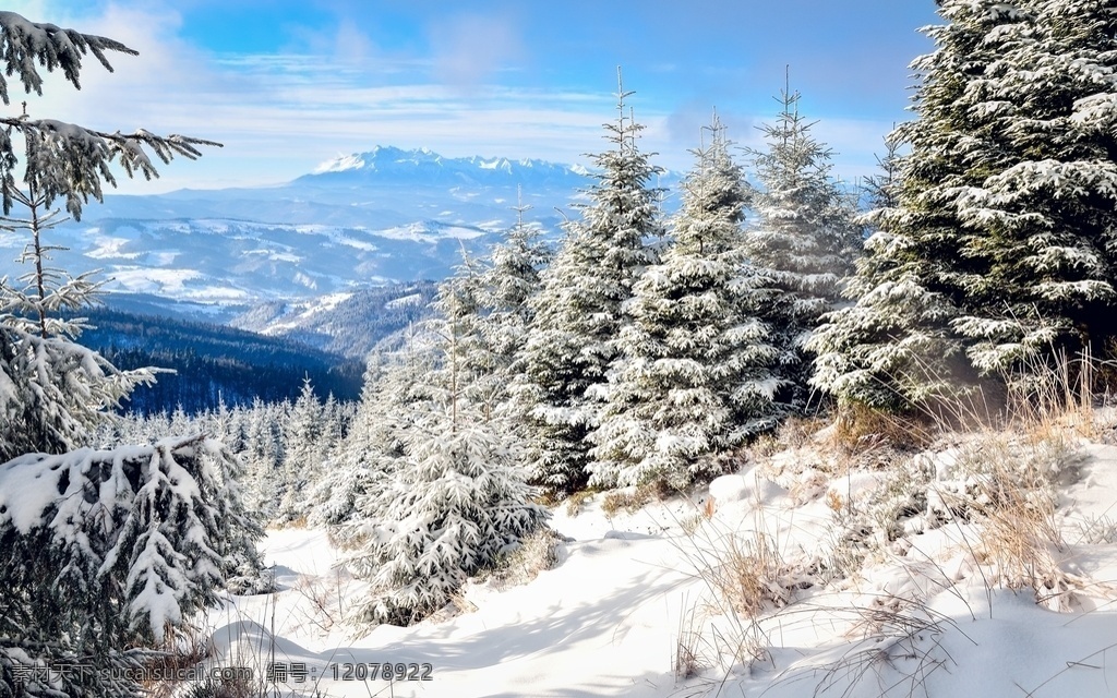 冬日雪景 冬季 冬天 雪景 自然风景 雪季 雪天 白皑皑 雪 冰 冰天雪地 雪原 雪山 自然景观