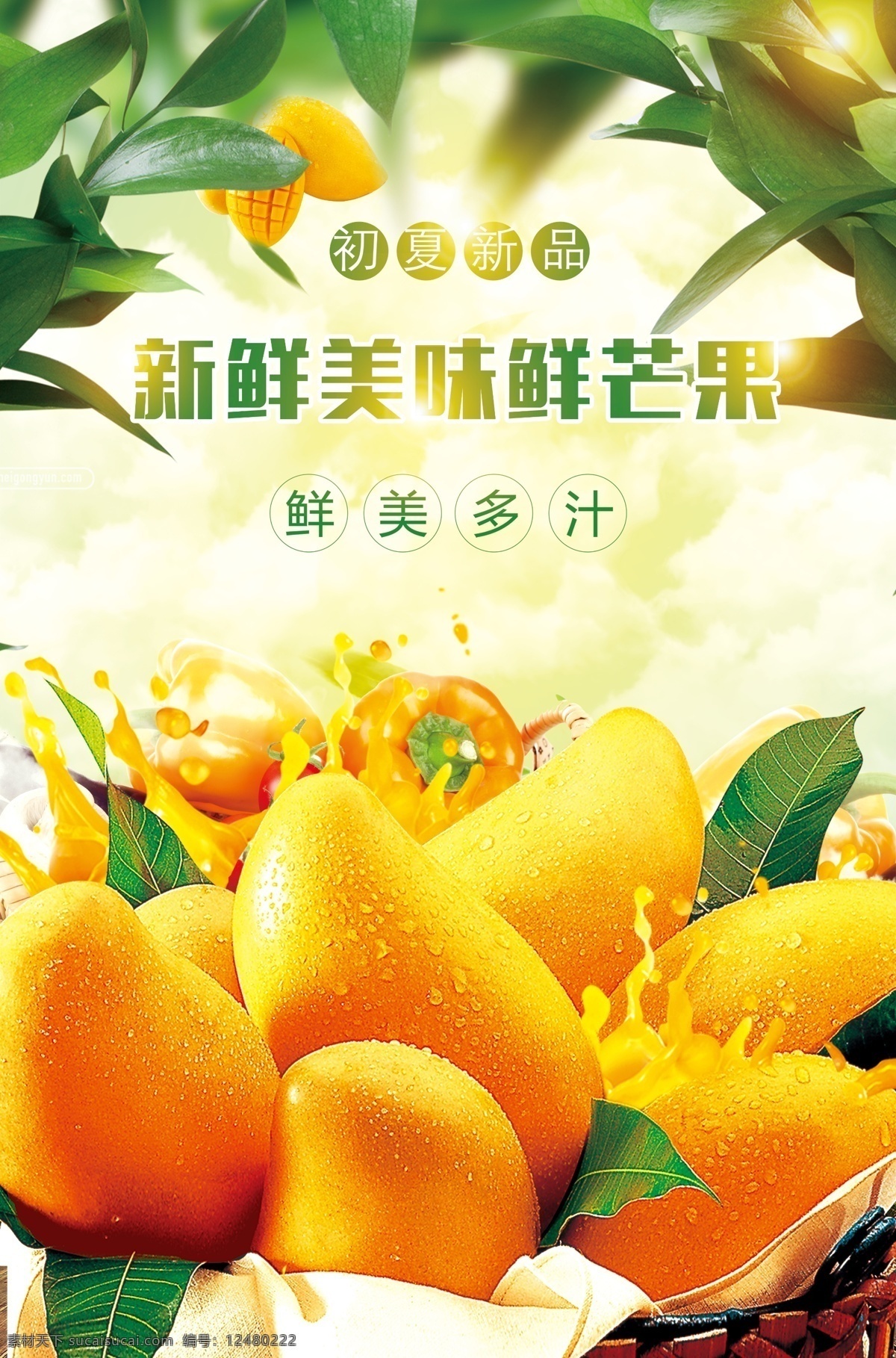 美味芒果 芒果 水果 美味 鲜美 多汁 新鲜 美食 分层