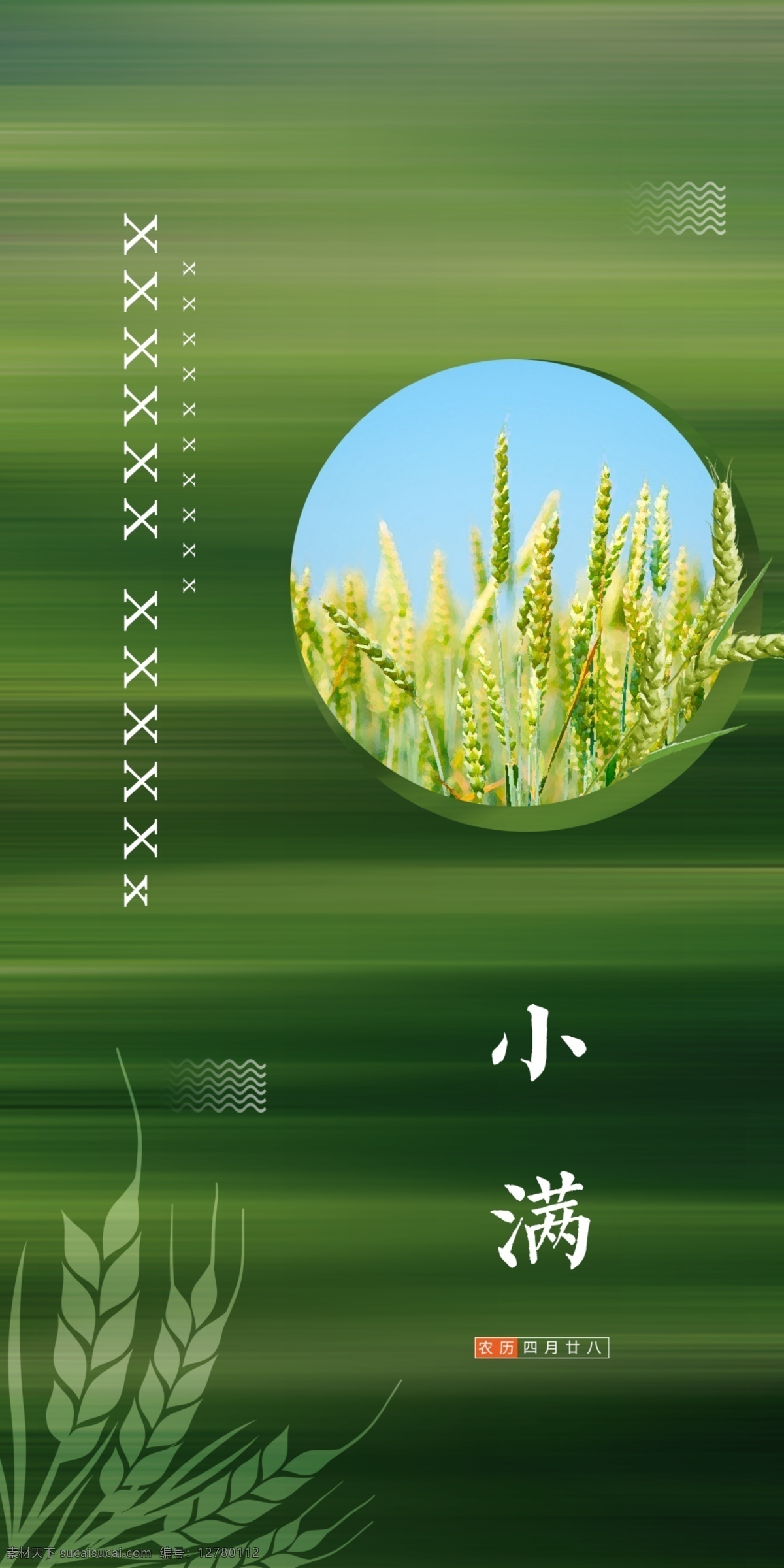 二十四节气 小满 地产 微 信 单 图 微信 单图 绿色 小麦 麦子 拉丝背景 飞机稿