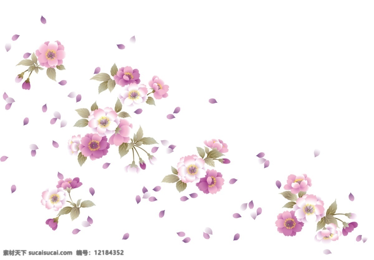 psd花绘 花绘 白色