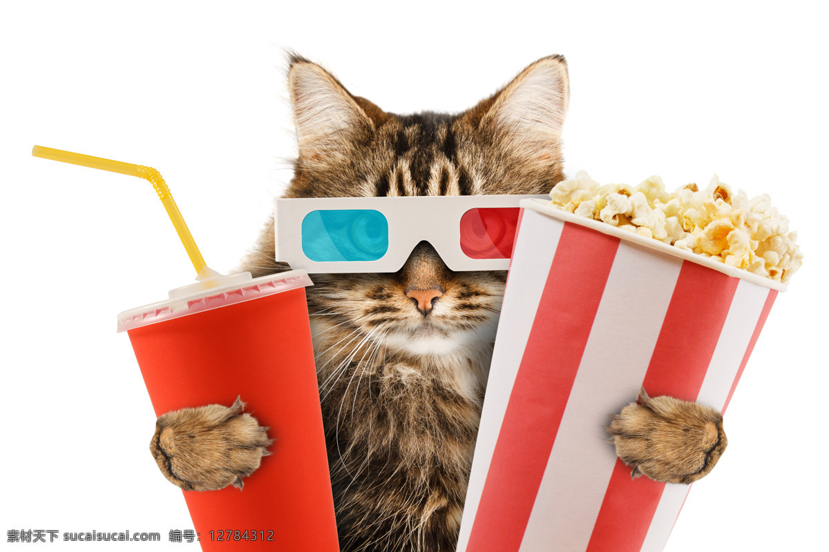 看 3d 电影 猫 3d电影眼镜 可乐 爆米花 猫咪 小猫 宠物猫 可爱动物 动物世界 陆地动物 生物世界 白色