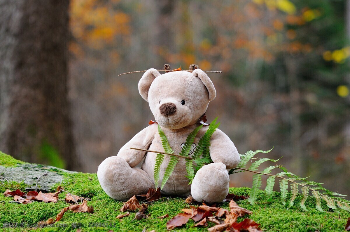 玩具熊 熊 玩具 童年 毛绒玩具 生活百科 生活素材