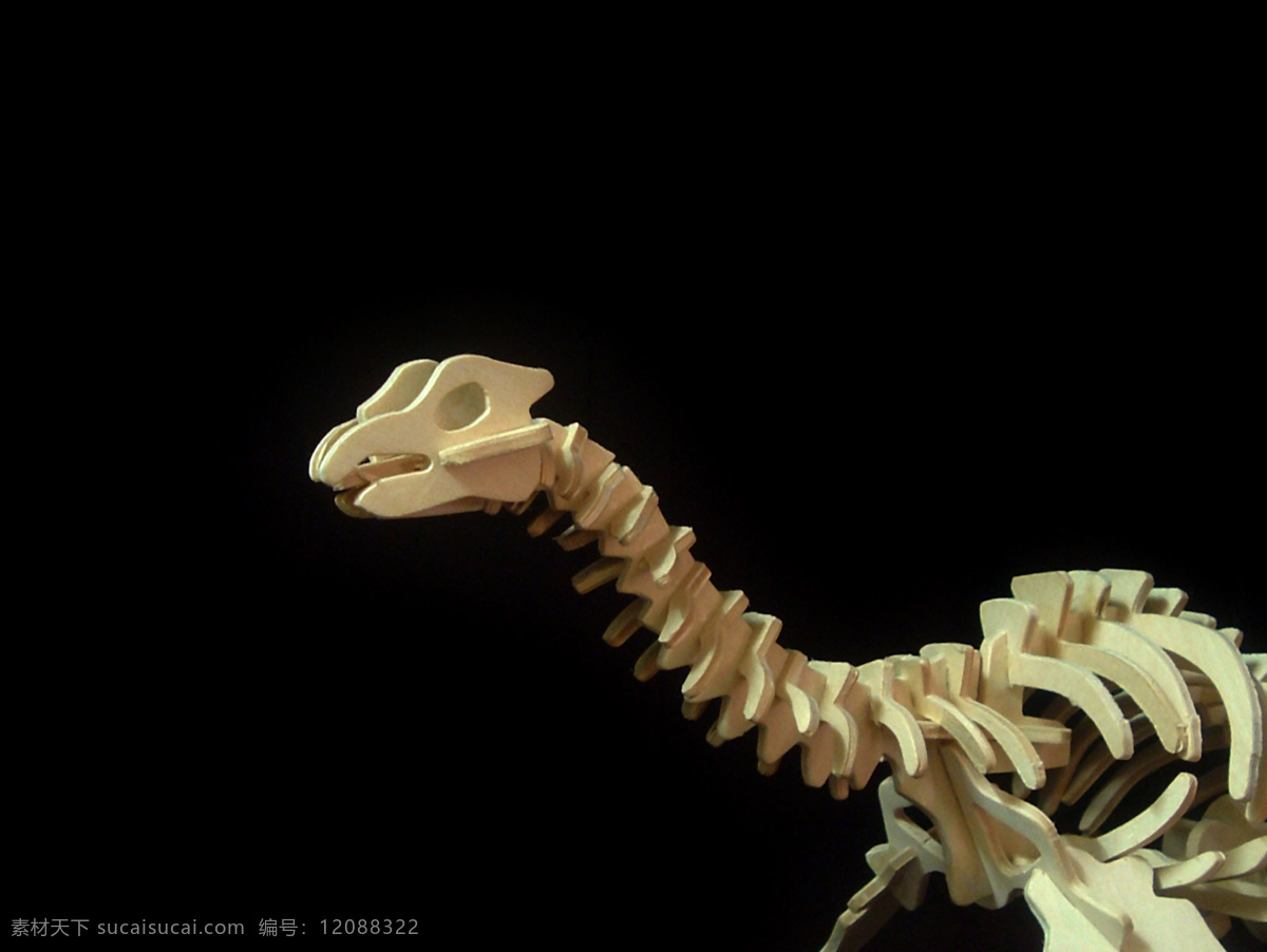 恐龙 玩具 骨骼 骨架 拼图 生活百科 娱乐休闲 恐龙玩具 积木玩具 psd源文件