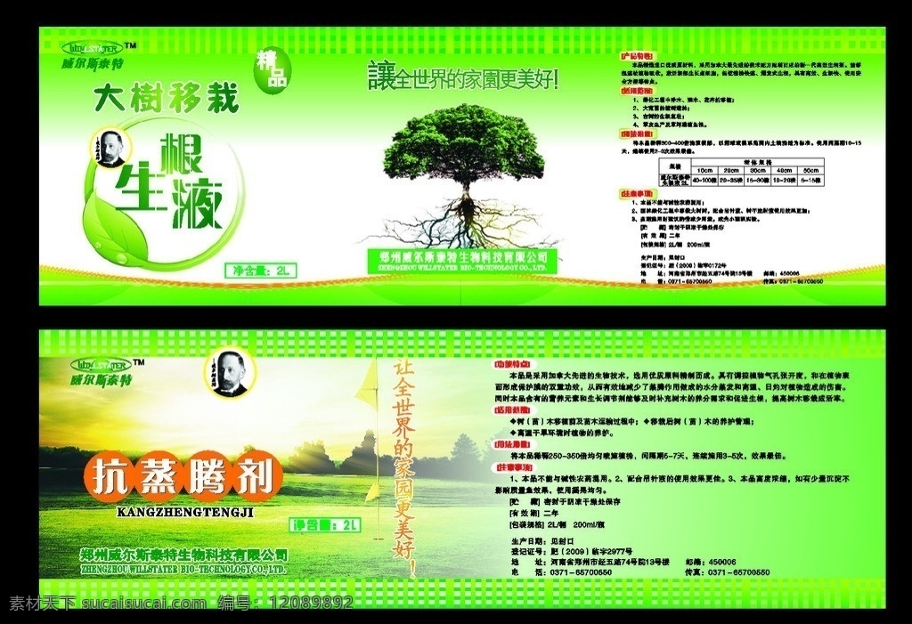 生根液 大树移栽 大树 树叶 绿色模版 dm宣传单 矢量