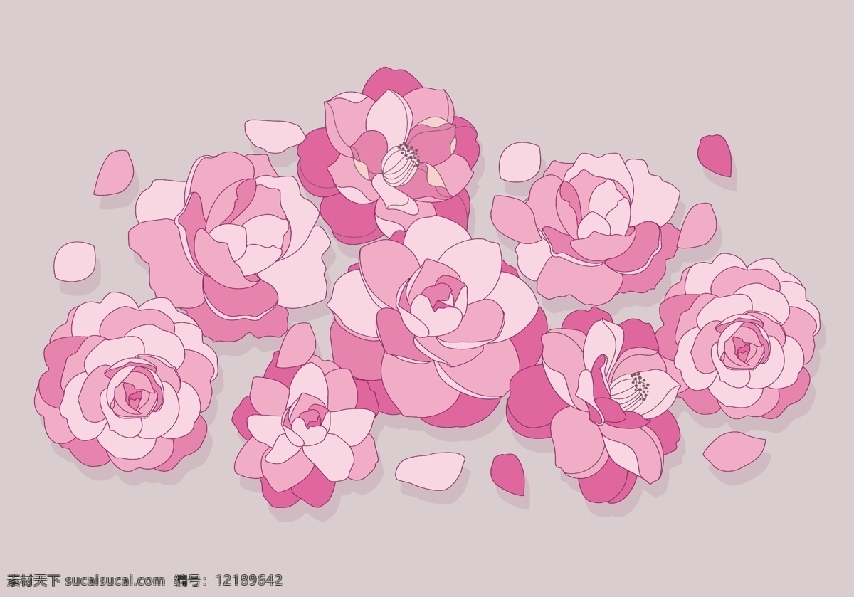 鲜花 花瓣 矢量 花 花朵 矢量素材