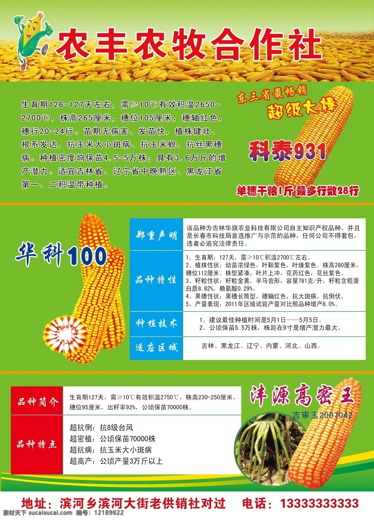 玉米彩页 玉米宣传单 玉米广告 化肥广告 合作社宣传单 dm宣传单