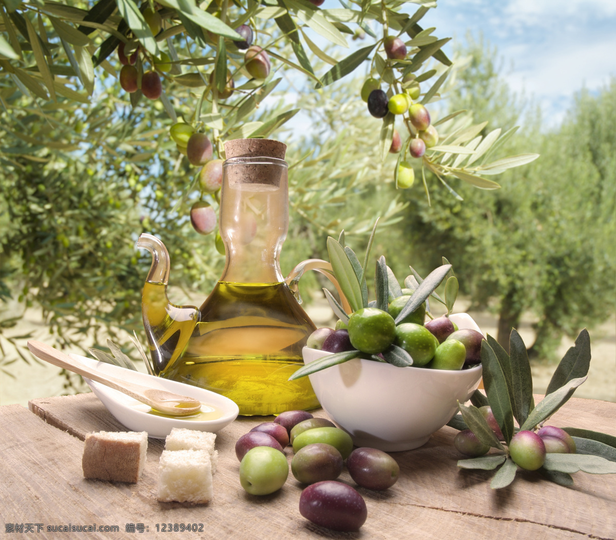 橄榄 橄榄果 橄榄叶 橄榄油 橄榄枝 生物世界 蔬菜 橄榄果实 风景 生活 旅游餐饮