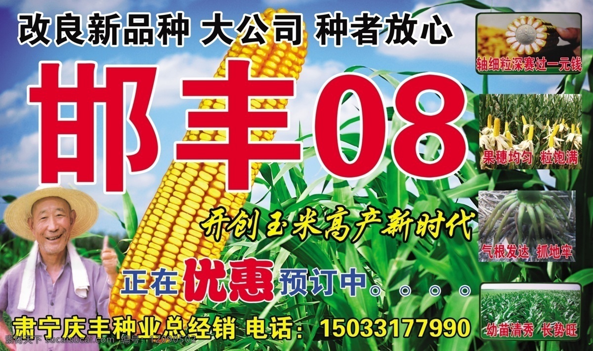 玉米 种子 邯 丰 玉米种子 邯丰 棒子 农民 蓝天 玉米苗 气根 玉米轴 广告设计模板 源文件