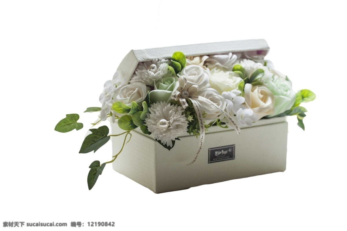 盒装 美丽 芬芳 花朵 绽放 植物 含苞未放 欣欣向荣 美丽动人 欣赏 送人 礼物 生机勃勃 奇花异草