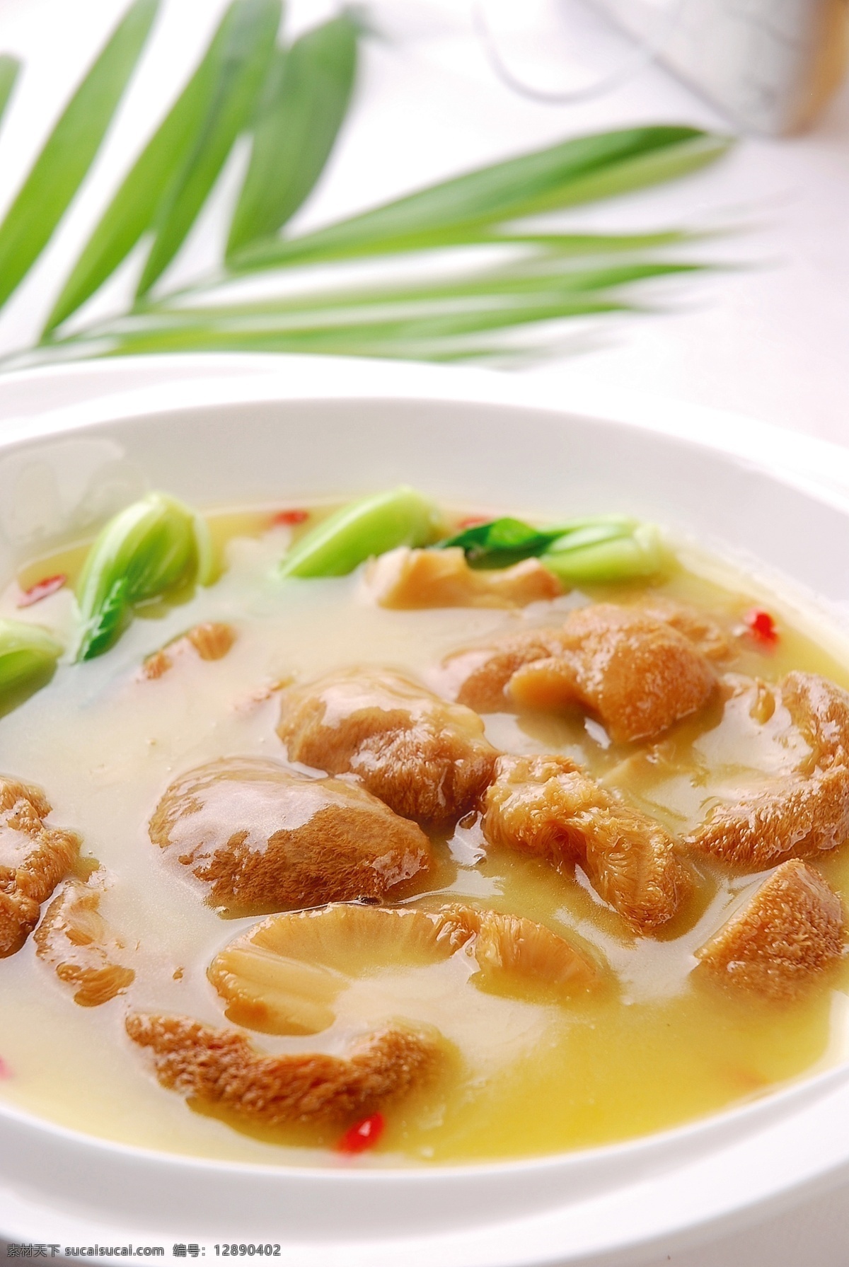 鸡汁猴头菇 猴头菇 鸡汁 热菜 美食 美味 美食摄影 传统美食 餐饮美食