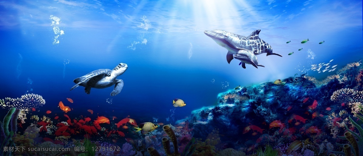 海底海洋世界 海底风景 3d立体海底 风景海底 海草海画 大海海鱼 海底海豚风景 海底 世界 海 鲨鱼 鲸 瓷砖 3d背景墙 3d 立体 海豚 水底世界 风景 风景画 海洋海底世界 3d立体 3d海底世界 梦幻海底世界 唯美海底世界 3d鲨鱼 3d海豚 珊瑚礁 海藻 海草 海底鱼群