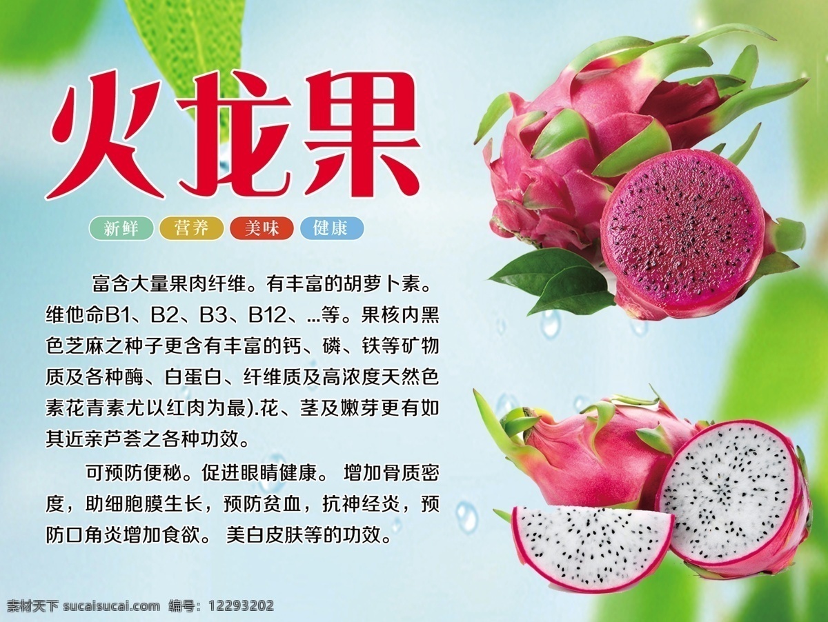 火龙果海报 火龙果介绍 火龙果展板 火龙果的好处 火龙果