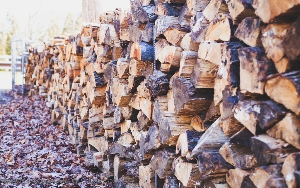 木桩堆 木柴 柴火 干柴 劈柴 柴堆 木材 木堆 木柴垛背景 木柴素材 树干 木头 烧柴垛子 整齐的木柴堆 木材素材 生活百科 生活素材
