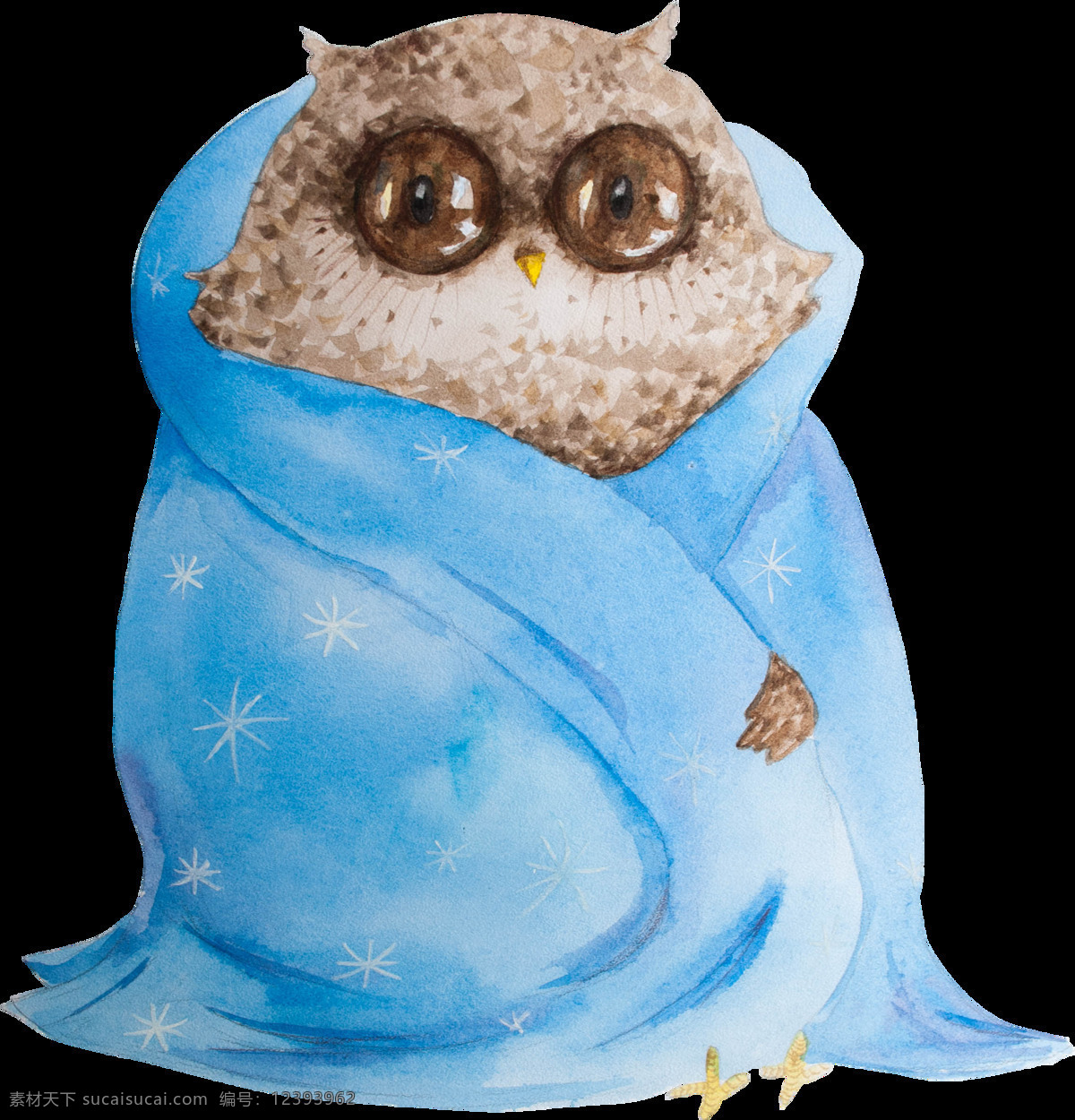 裹 大 袍子 猫头鹰 透明 动物 蓝色 免扣素材 透明素材 雪花 装饰图片 棕色