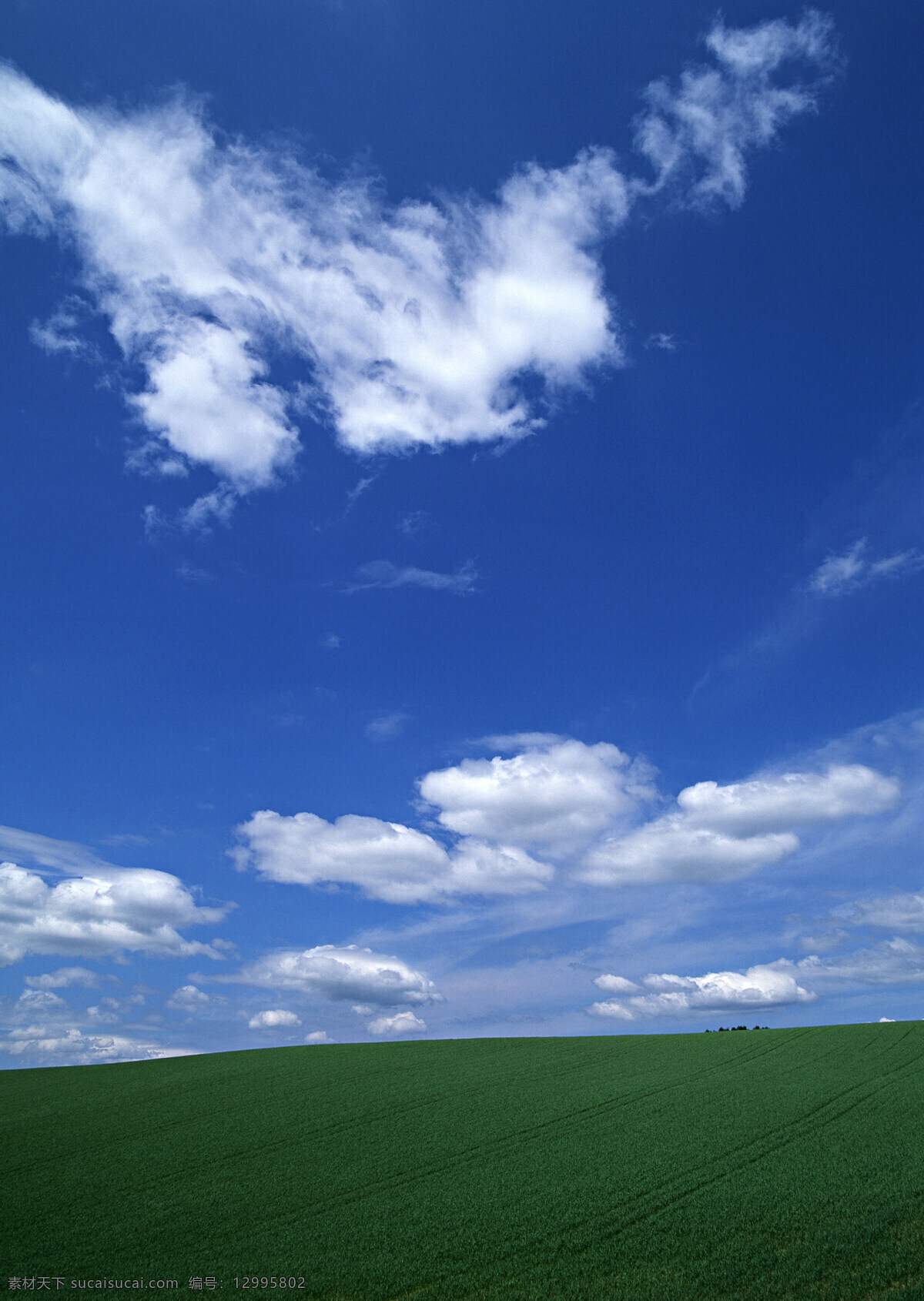 天空免费下载 白云 草地 大地 蓝天 天空 风景 生活 旅游餐饮