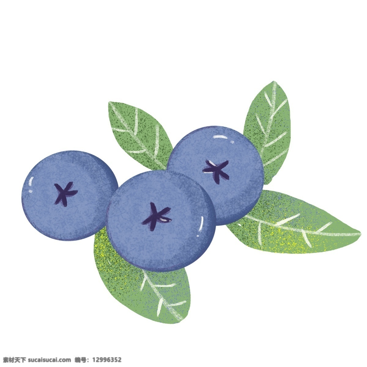 水果 插画 蓝莓 元素 淡彩 美食 采摘 水果蓝莓 矢量蓝莓 手绘蓝莓 蓝莓png 蓝莓汁