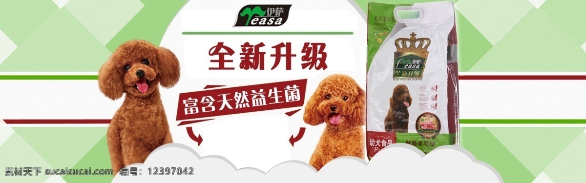 淘宝 狗 粮店 铺 轮 播 banner 轮播 淘宝店铺 绿色 狗粮 淘宝狗粮 flash 大图