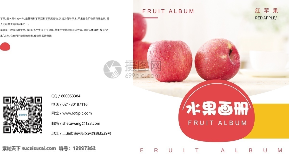 现代 简约 苹果 水果 画册 封面 维生素 营养 健康 有机 红色 红苹果 食品画册