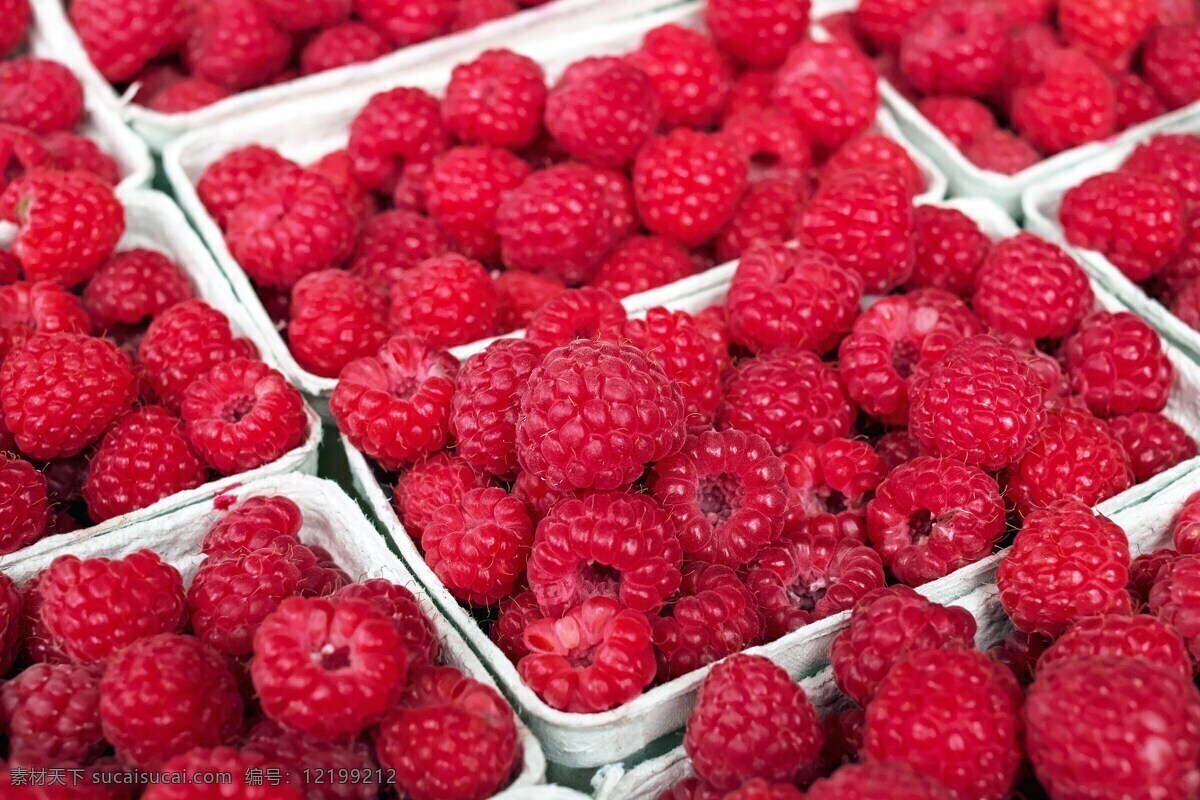 树莓 食物 水果 热带 红 甜 红色