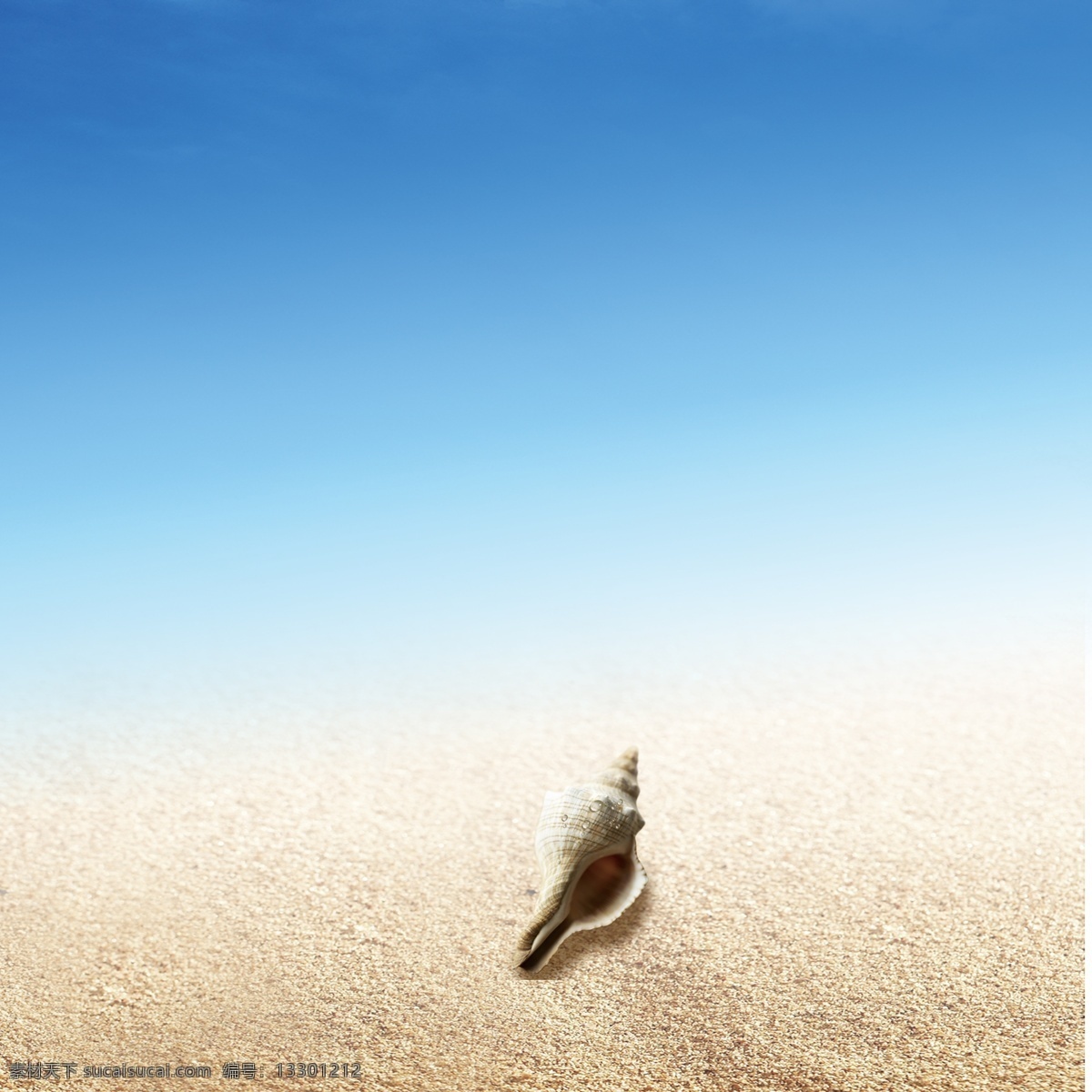 海水 沙滩 海螺 广告 背景 温馨
