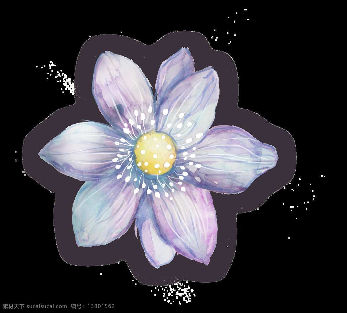 紫白 花瓣 透明 装饰 花朵 免扣素材 透明素材 装饰图案 紫色