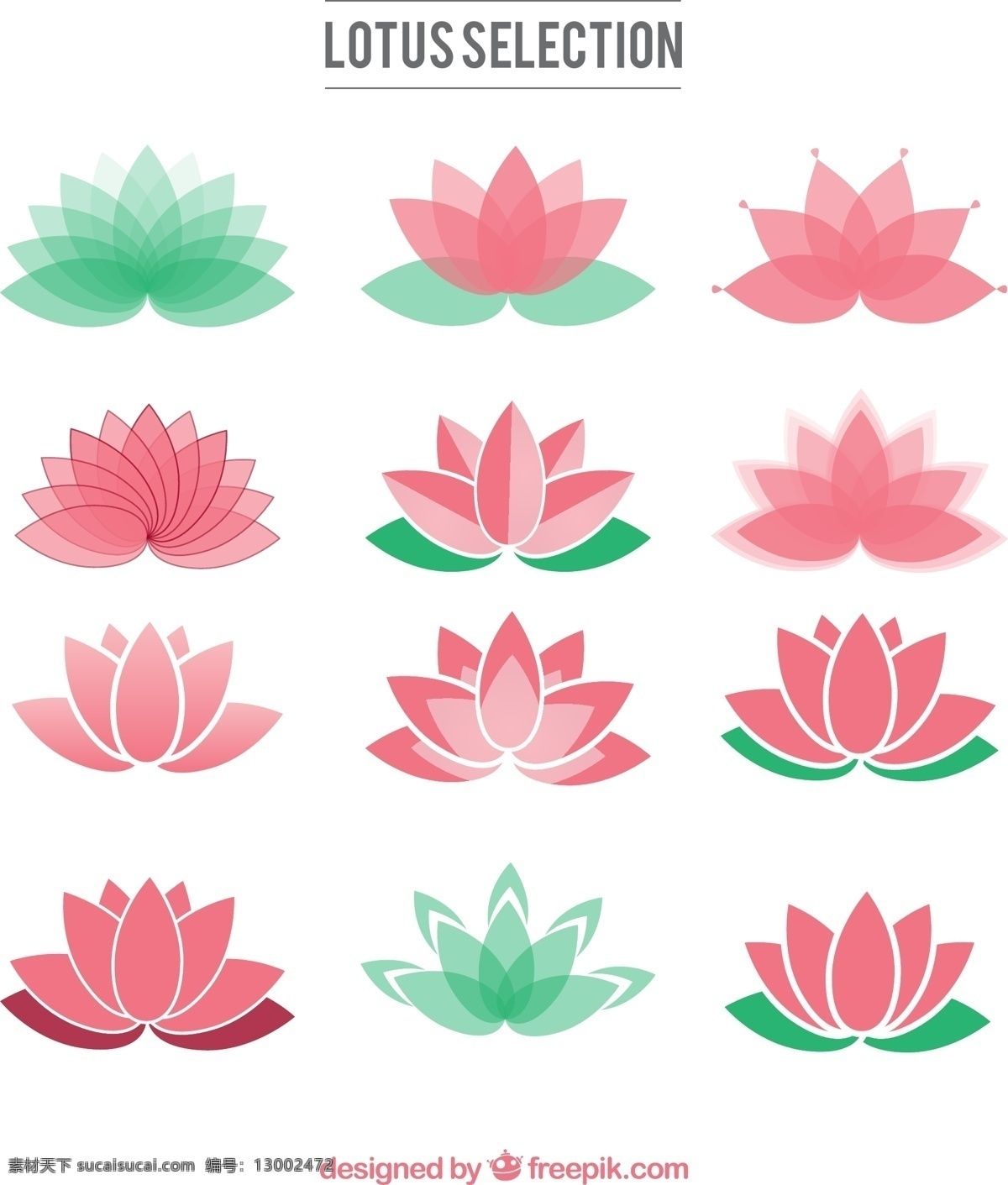 创意 荷花 图标 花卉 花朵 植物 插画 标签 背景 海报 画册 矢量植物 生物世界 花草 平面素材