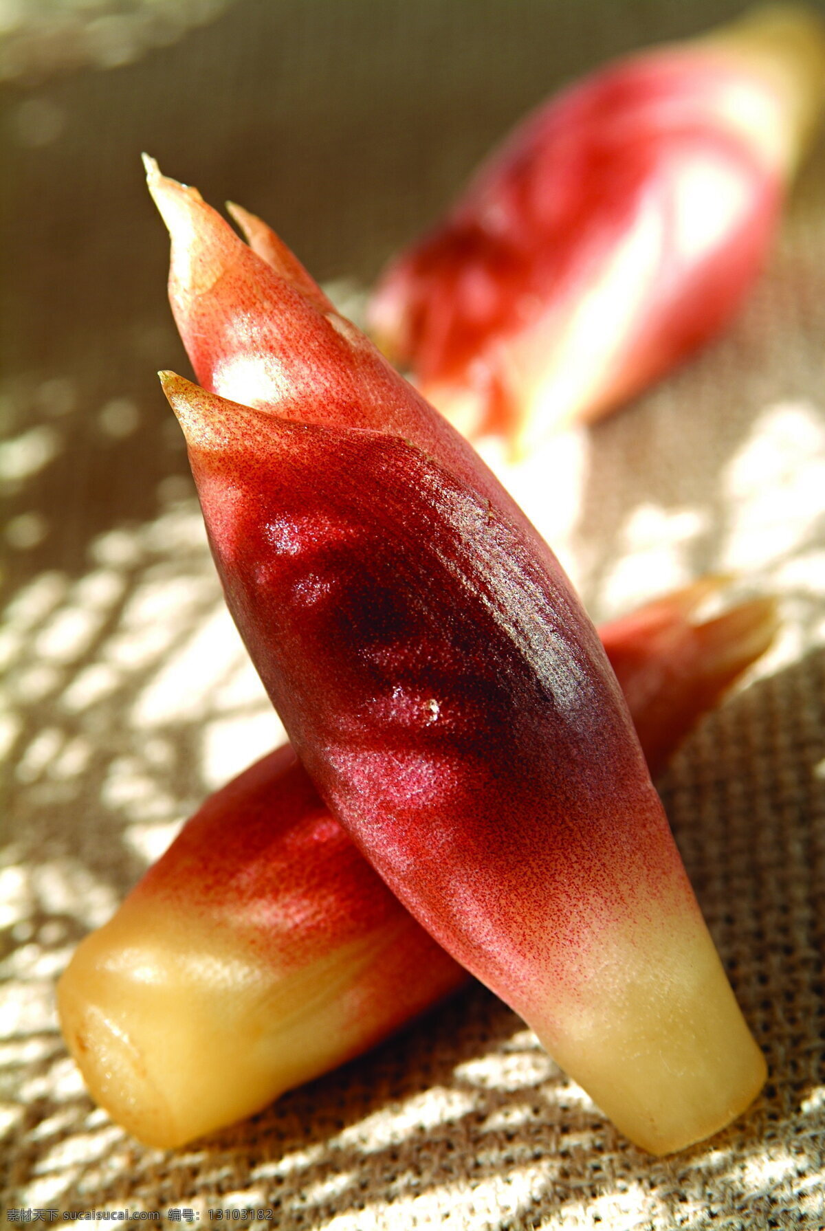 什锦 鲜 蔬 蔬菜 什锦鲜蔬 营养物 生物世界