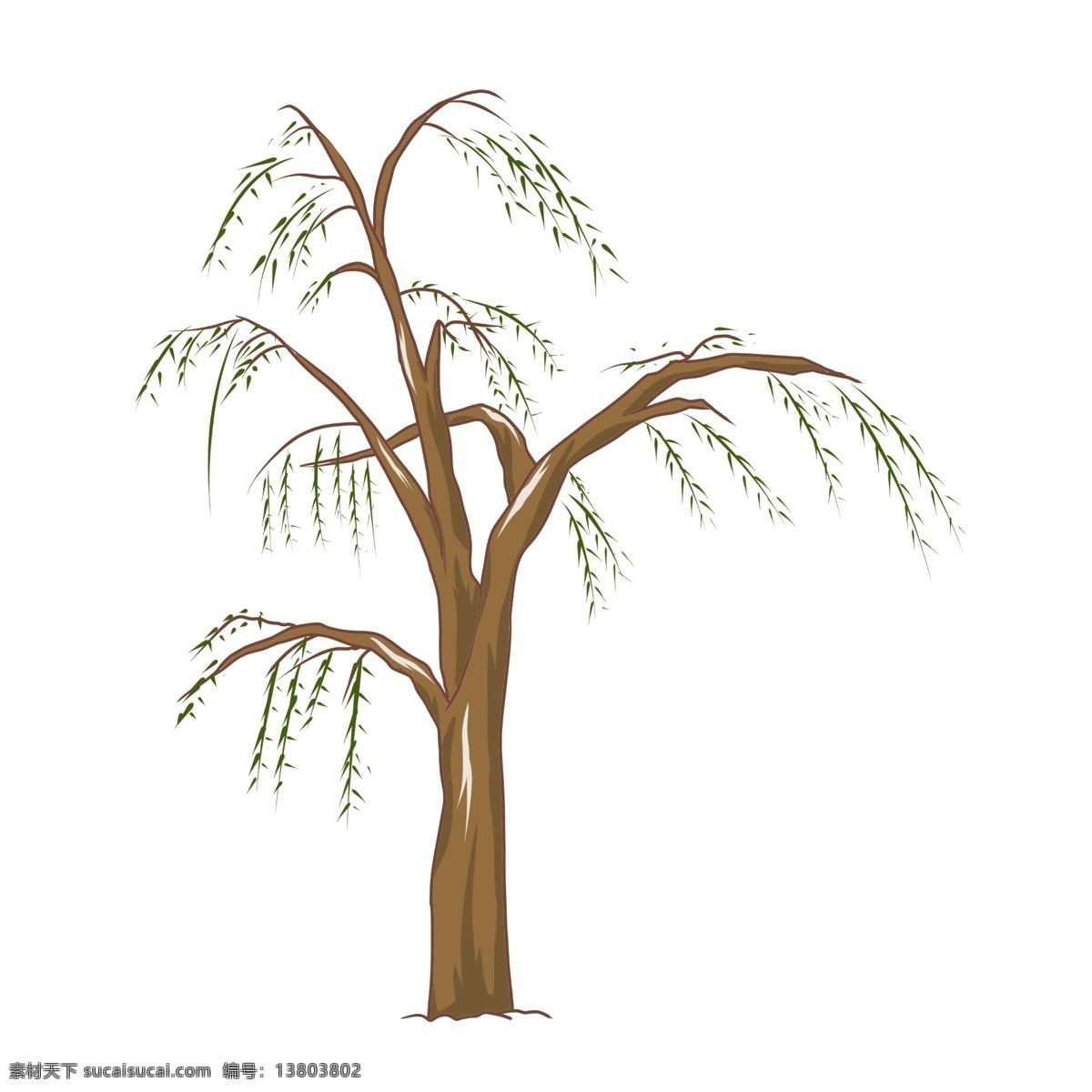 手绘 卡通 柳树 插画 手绘柳树 绿色的叶子 叶子装饰 植物装饰 漂亮的柳树 绿色的柳树 黄色的树木