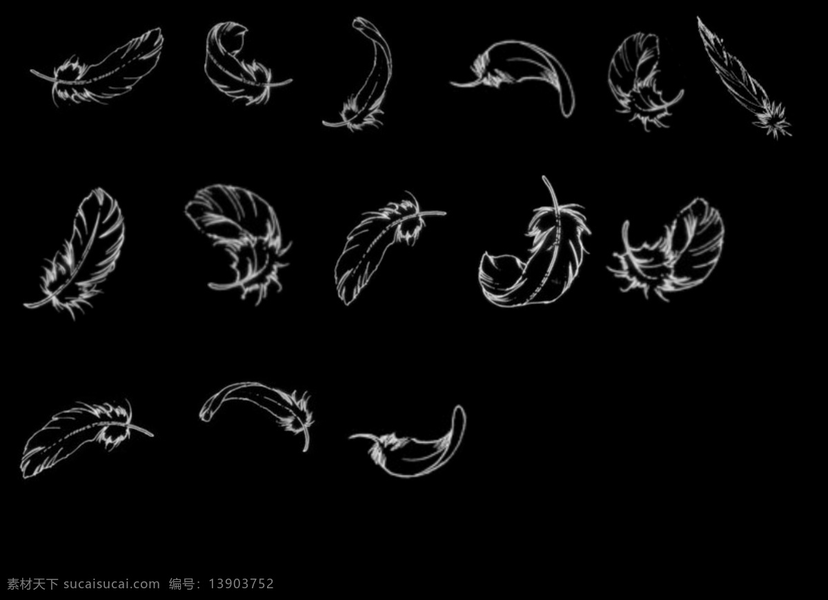 各种 形态 羽毛 分层 ps笔刷 源文件库 羽毛的动态 其他笔刷 动态 psd源文件
