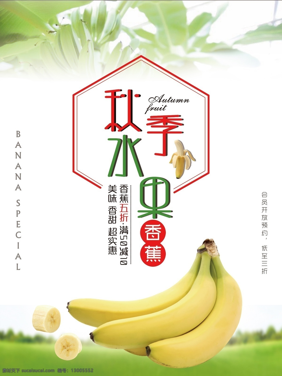 秋季 水果 香蕉 海报 秋季水果香蕉 香蕉海报 香蕉广告 香蕉特写 香蕉促销海报 香蕉背景