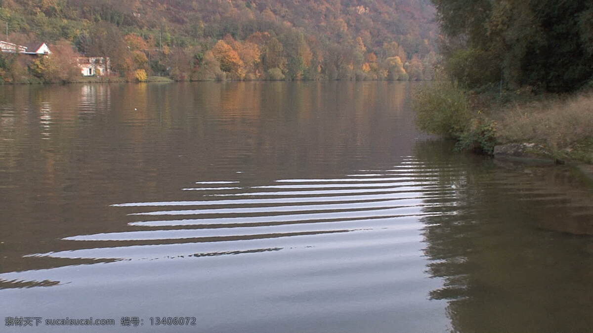 在内 卡河 股票 视频 涟漪 德国 河 秋天 森林 树木 树叶 思考 自然 内卡河 水 其他视频