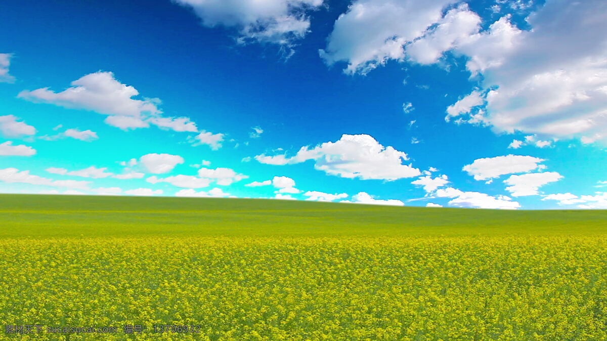美丽 油菜 花地 风光 蓝天 白云 天空 油菜花 田园风光 美丽景色 美丽风景 风景摄影 美景 风景图片