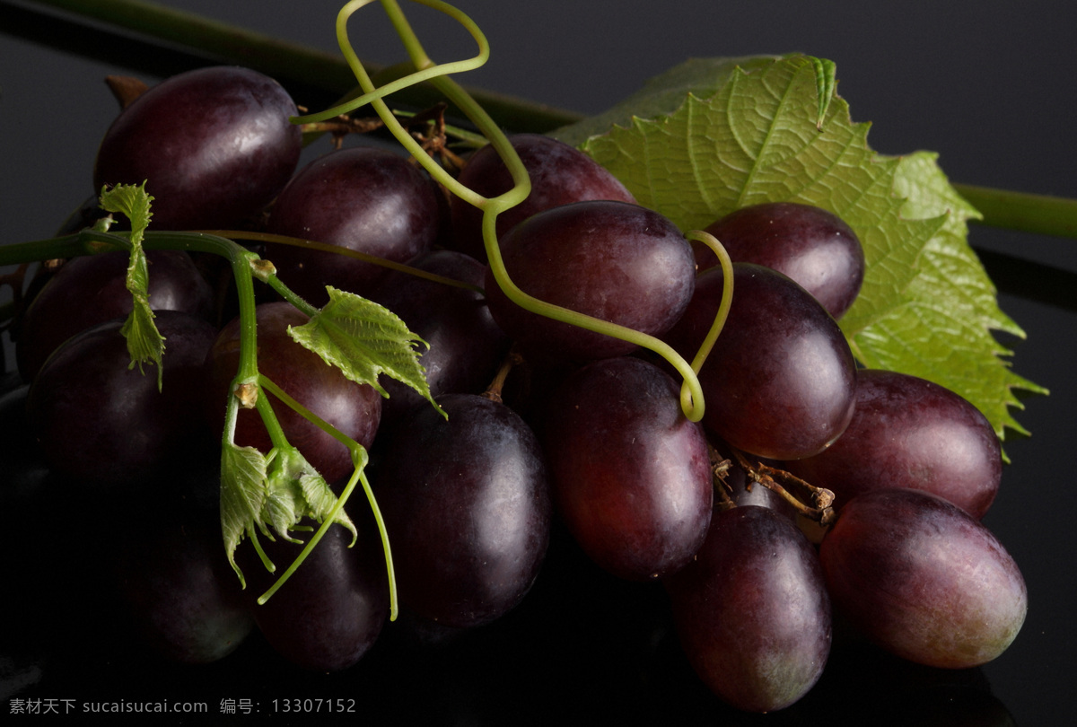 葡萄 叶 紫 提子 新鲜水果 水果摄影 果实 水果蔬菜 餐饮美食 水果图片