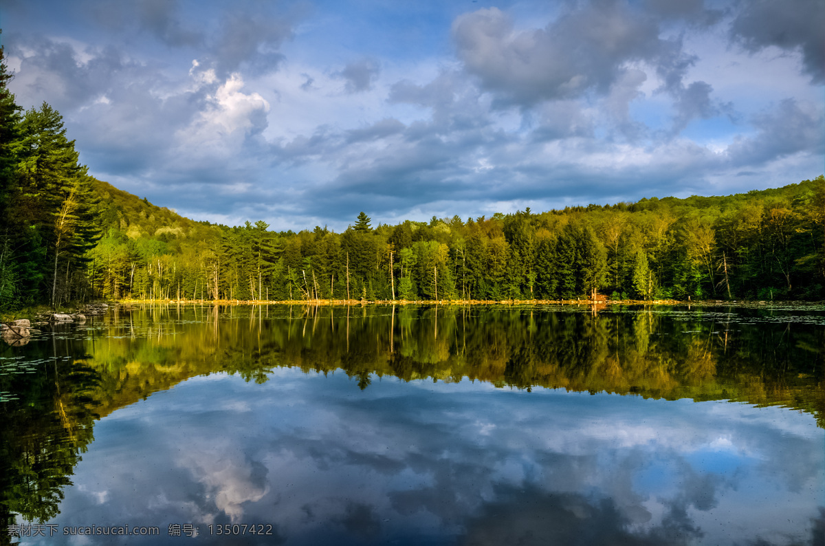 树林湖泊景色 树林风景 森林 湖水 湖泊风景 湖面倒影 美丽风景 美丽景色 自然风光 风景摄影 美景 自然风景 自然景观 黑色