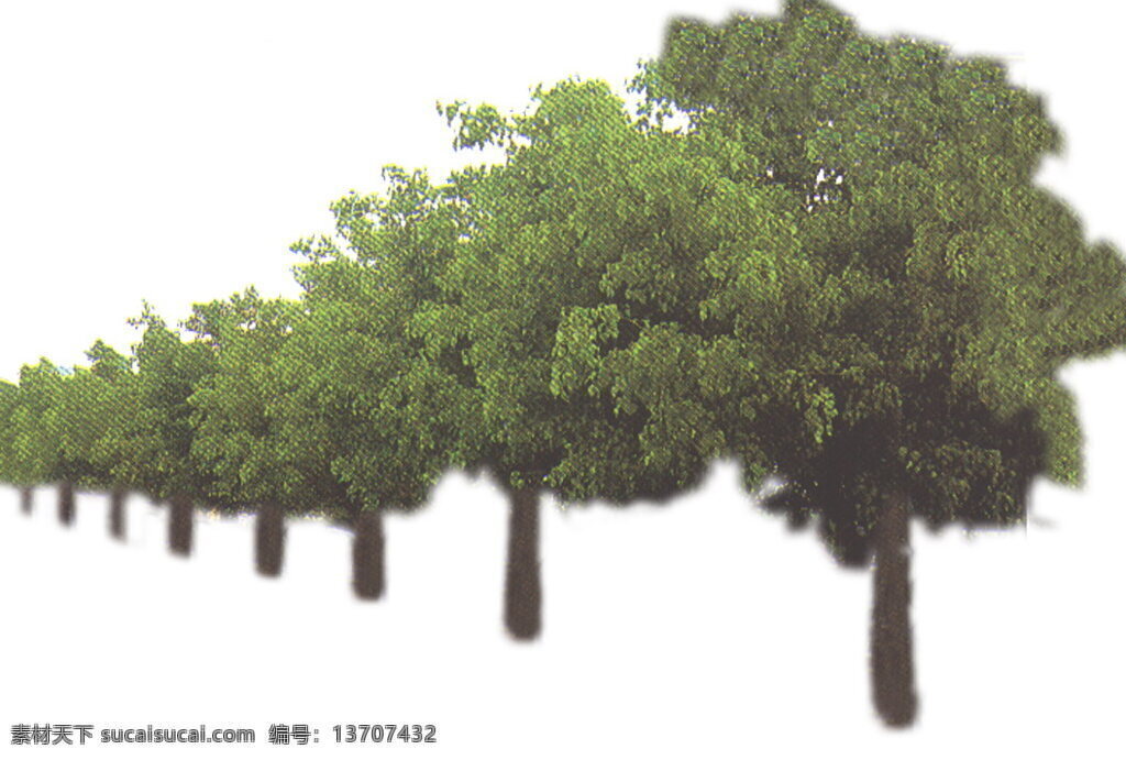 树丛 贴图素材 建筑装饰 设计素材 植物 白色