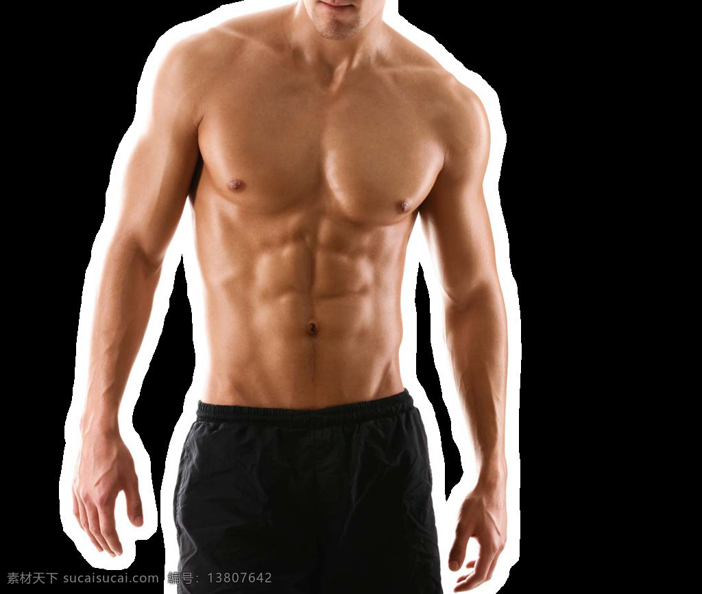 肌肉男的身材 健身 健身素材 健身的图片 肌肉男 肌肉健身 健身肌肉 健身肌肉素材 肌肉素材图 png图片 png图